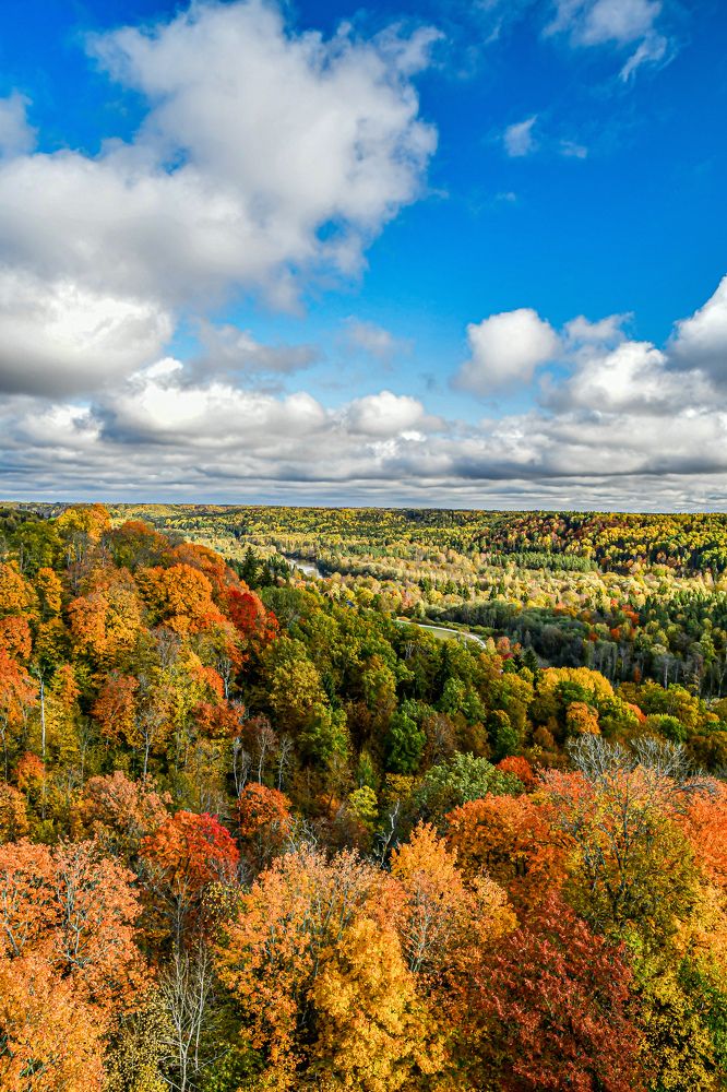 Photograph by AVIC A.M.