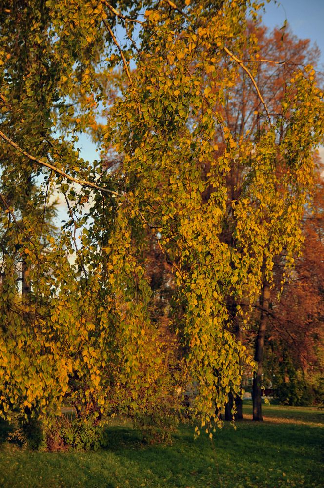 Photograph by Сергей Балухта