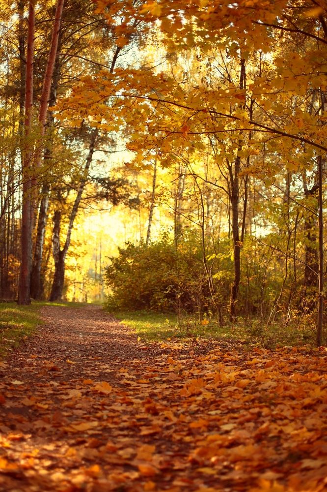 Photograph by Milla Luca