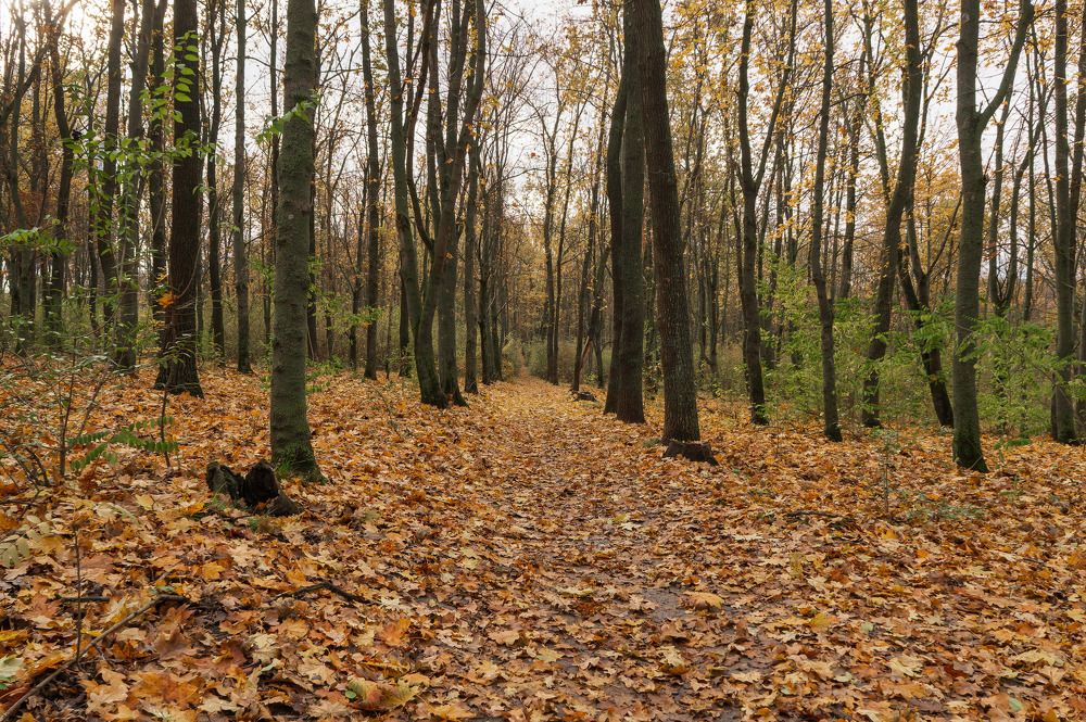 Photograph by Олег Ершов