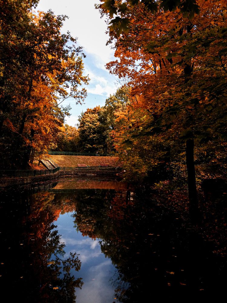 Фотография автора Оля Алехнович