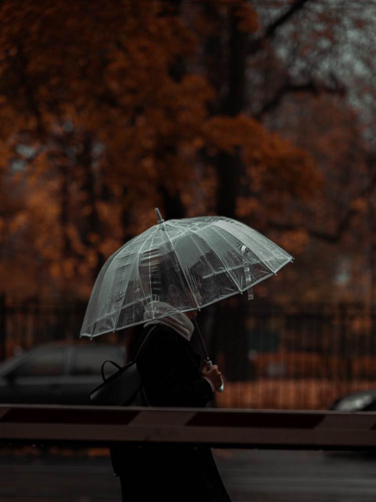 Photograph by Степан Бочаров