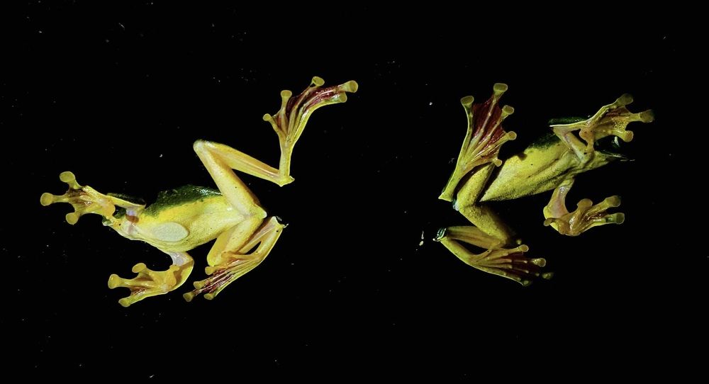 Photograph by Kalyan Chakraborty