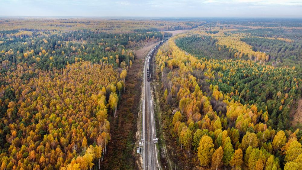 Photograph by МИХАИЛ ЛОГАШОВ