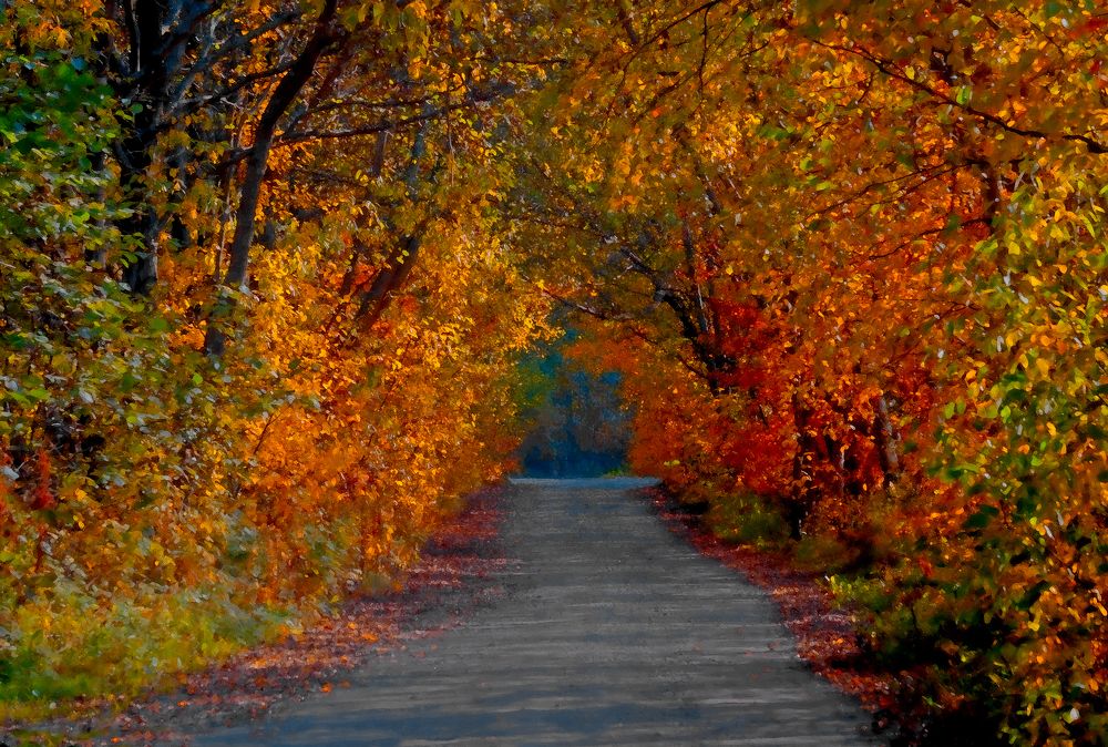 Photograph by Шутов Владимир