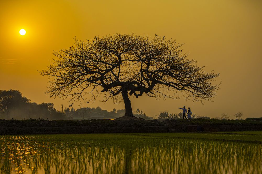 Photograph by THANH TUNG PHAM