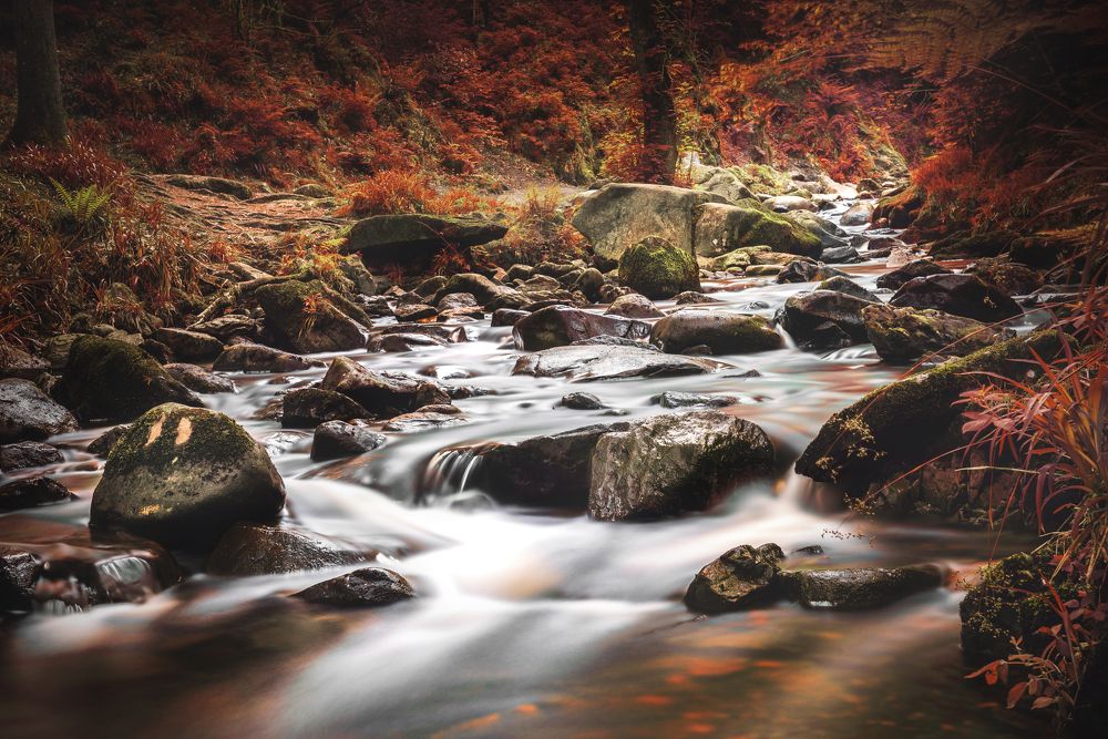 Photograph by Katarzyna Bochniak