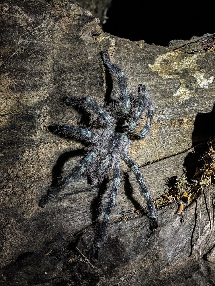 Photograph by Kalyan Chakraborty