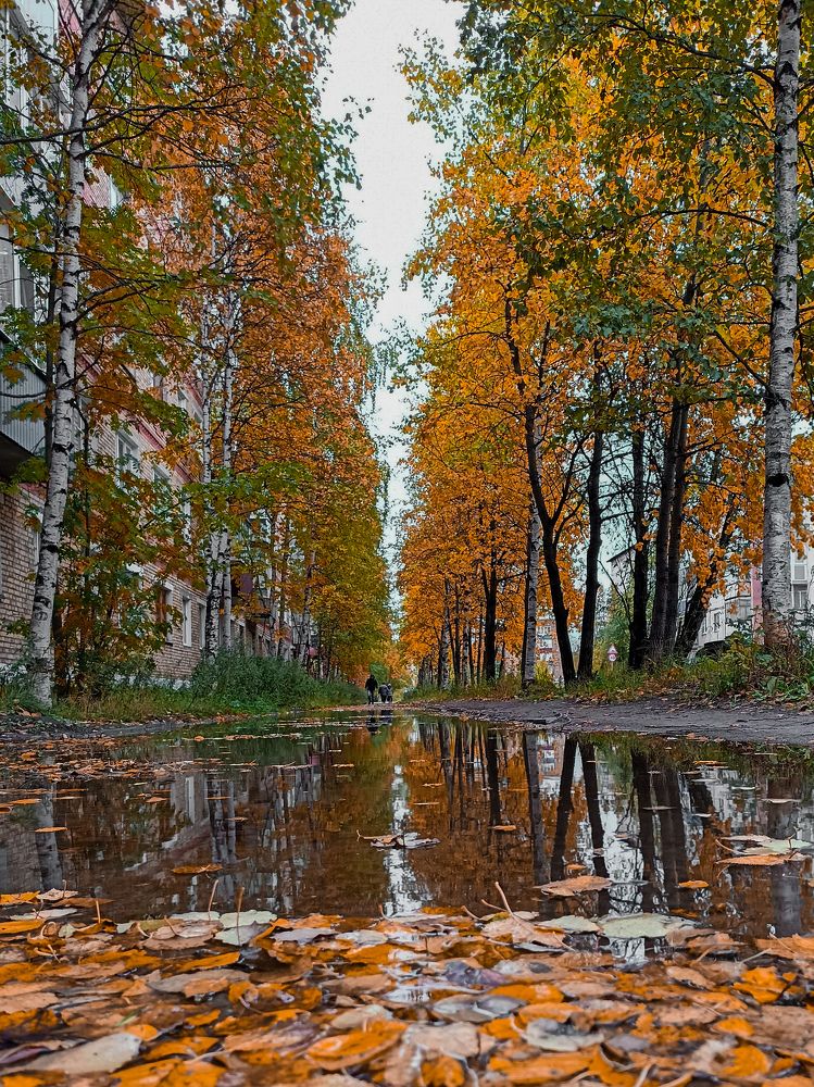 Photograph by Татьяна Власова