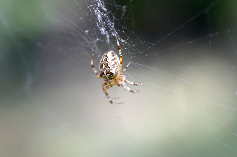 Photograph by Оксана Никулина