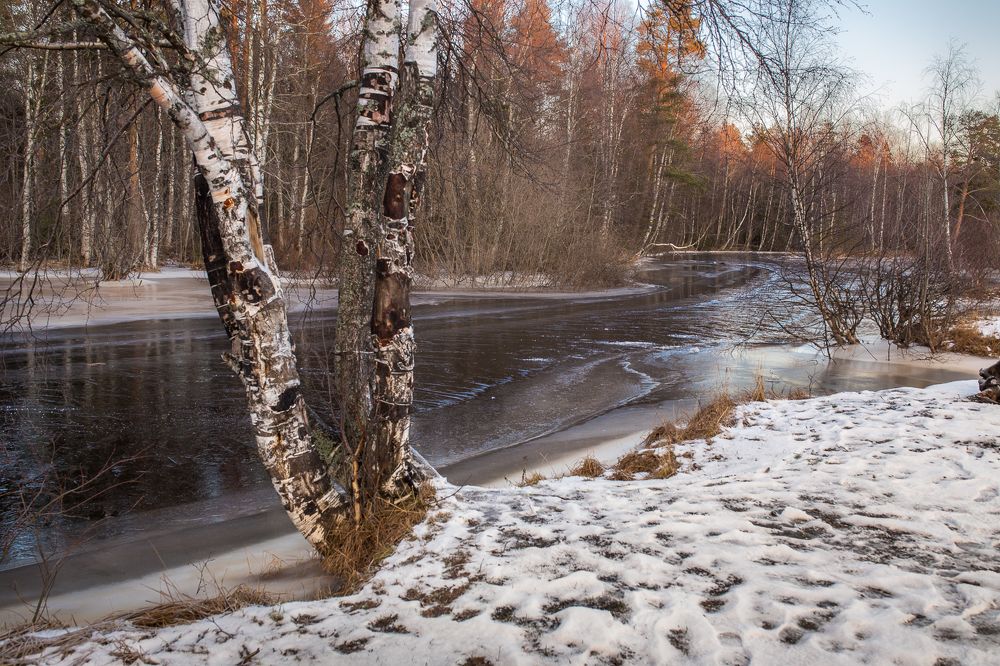 Photograph by Алексей Калугин