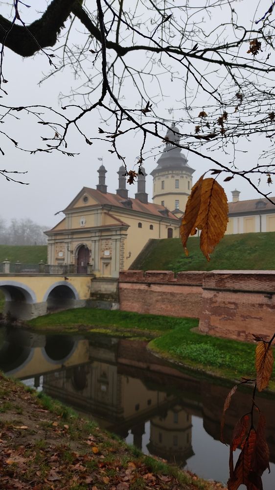 Photo #6577917