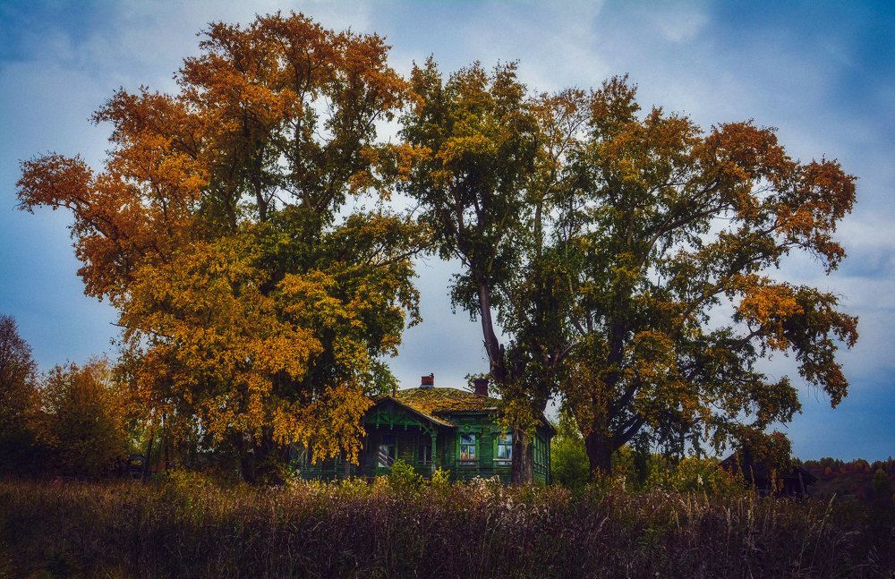 Photograph by Светлана Перминова