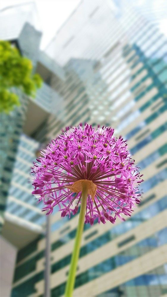 Photograph by Marie G