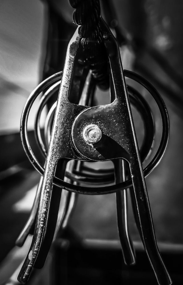 Photograph by Pallavi Singh