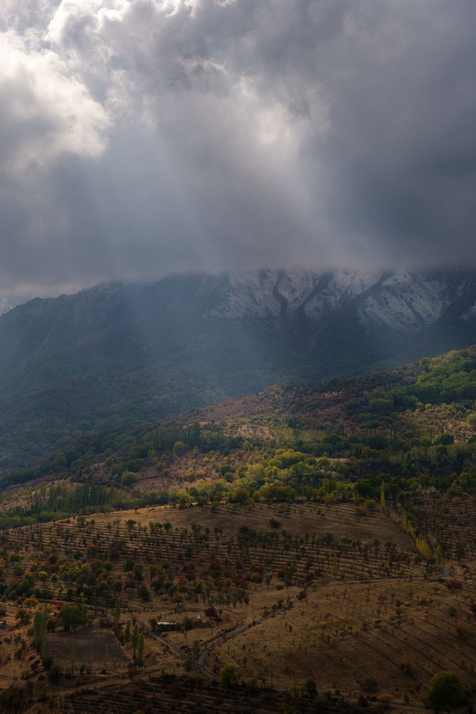 Photograph by Дильмурад Ахмедов