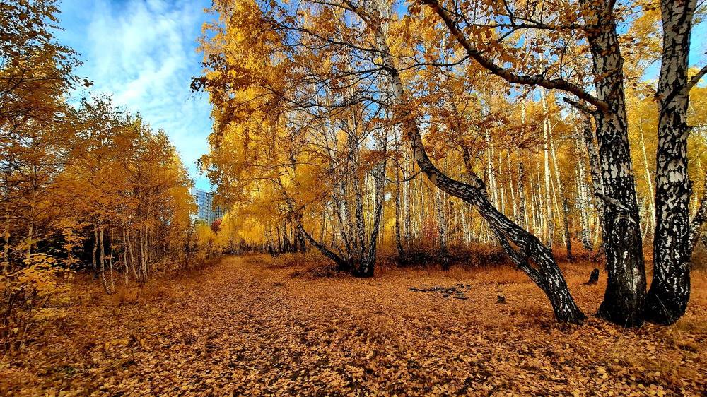 Photograph by Татьяна Котельникова