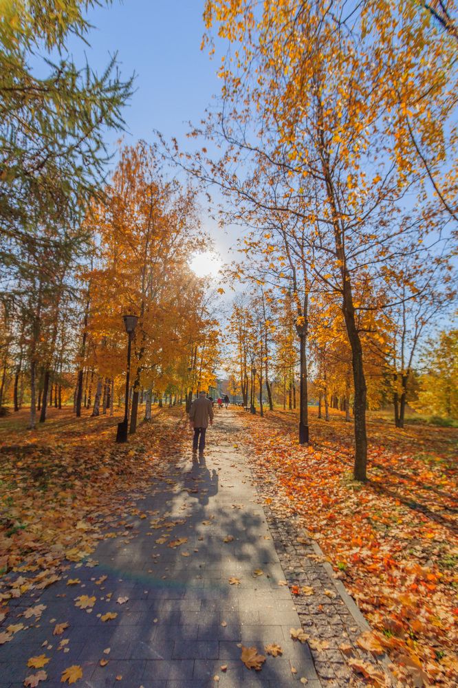 Photograph by Никита Луферов