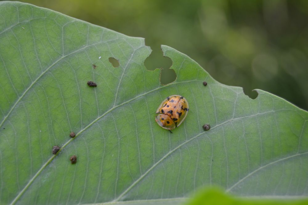 Photograph by reno reno