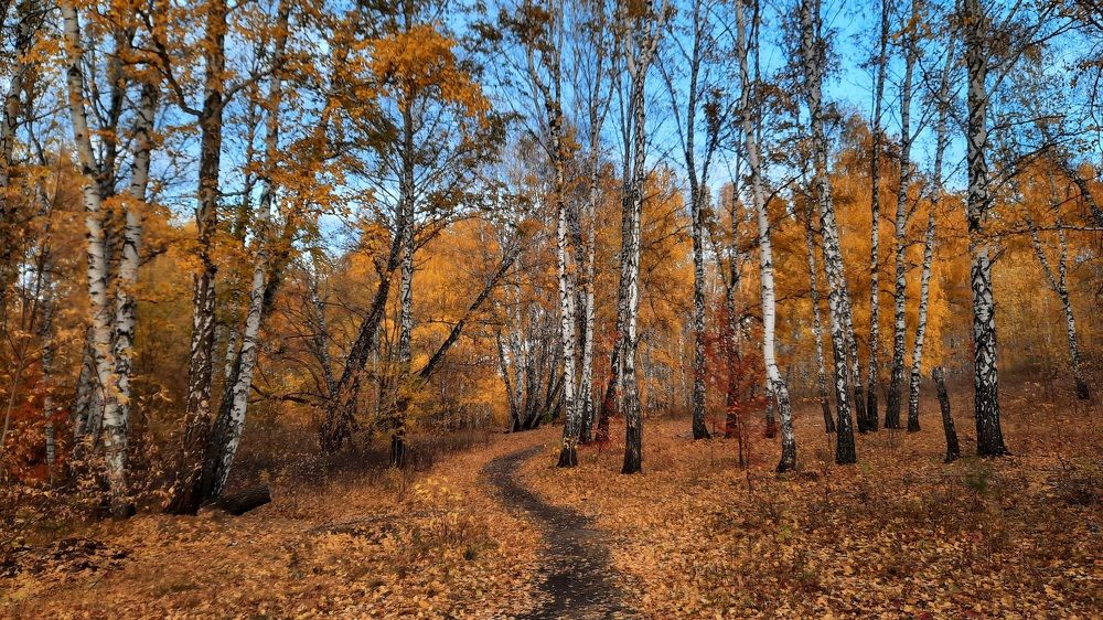 Photograph by Татьяна Котельникова