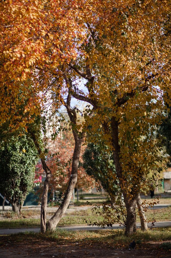 Photograph by Анна Лазарева