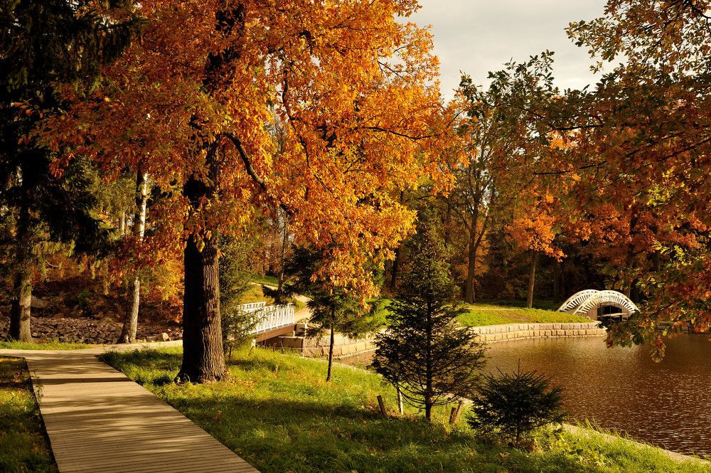 Осень в парке Монрепо...