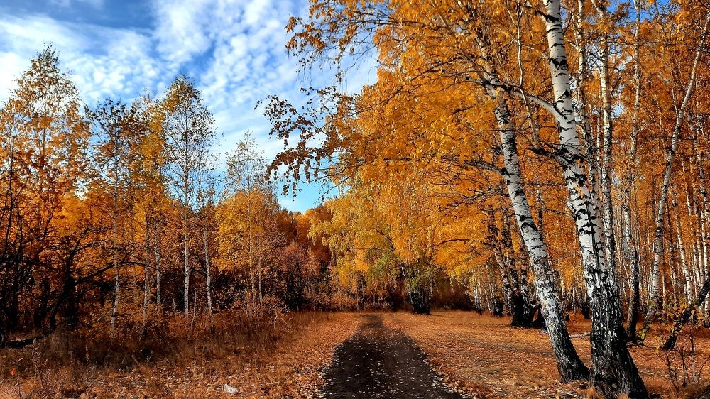 Photograph by Татьяна Котельникова