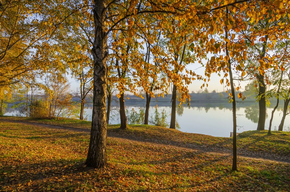 Photograph by Александр Кодак