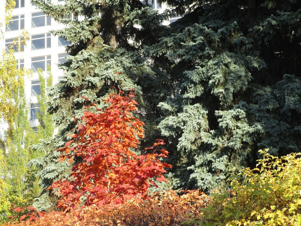 Photo #6578190