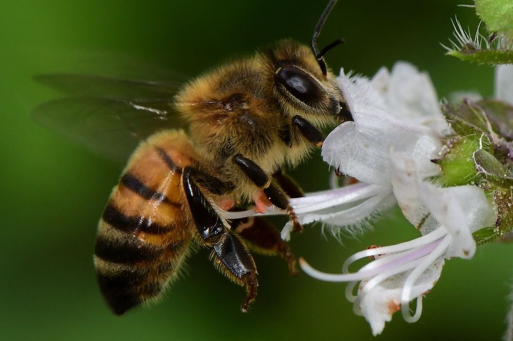 Photograph by Moura Denis