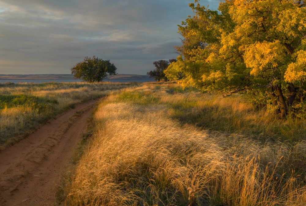 Photograph by Александр Белянский