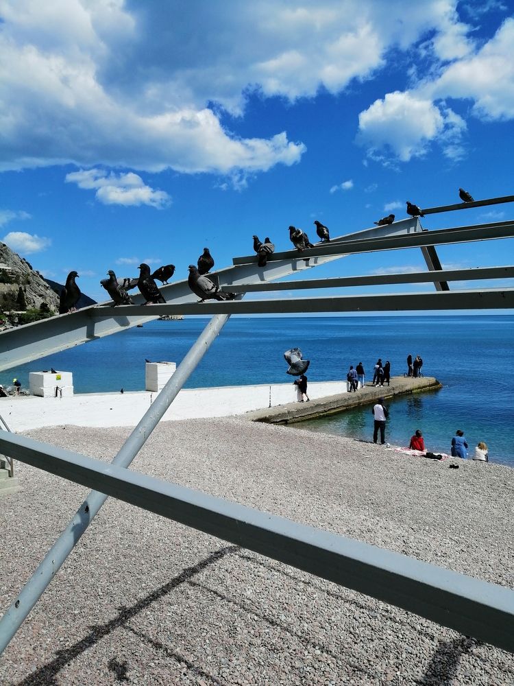 Photograph by Татьяна Чарушина