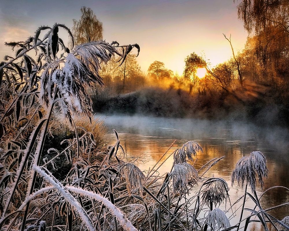 Photograph by Сергей Малашкин