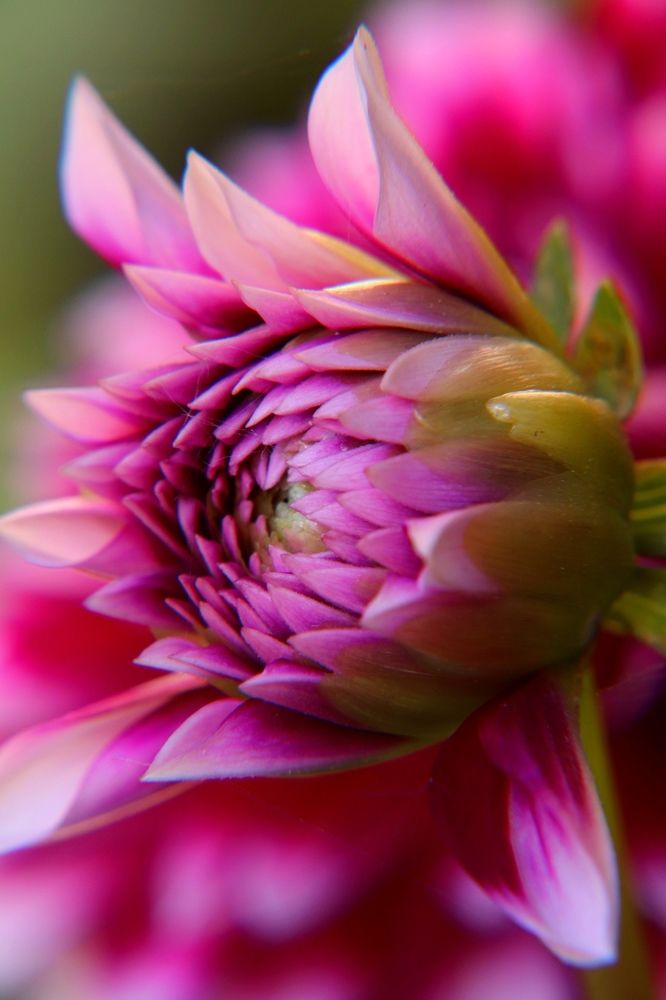 Остановить мгновение возможно...