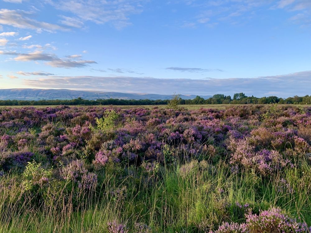 Photograph by Maria Dzene