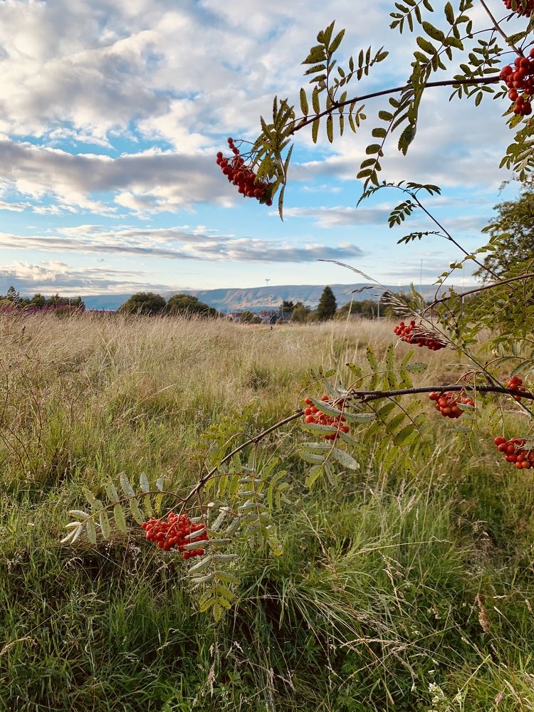 Photograph by Maria Dzene