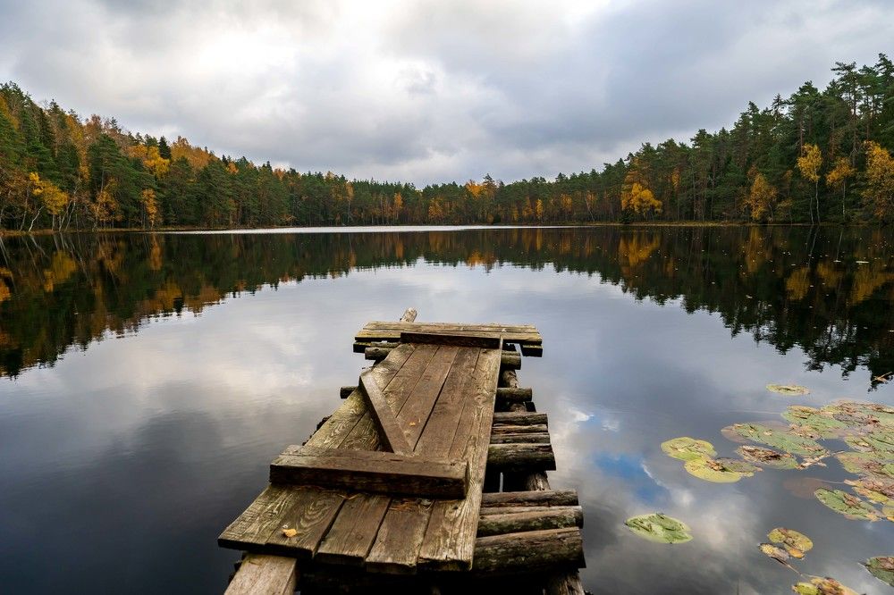 Photograph by Susanna Kari