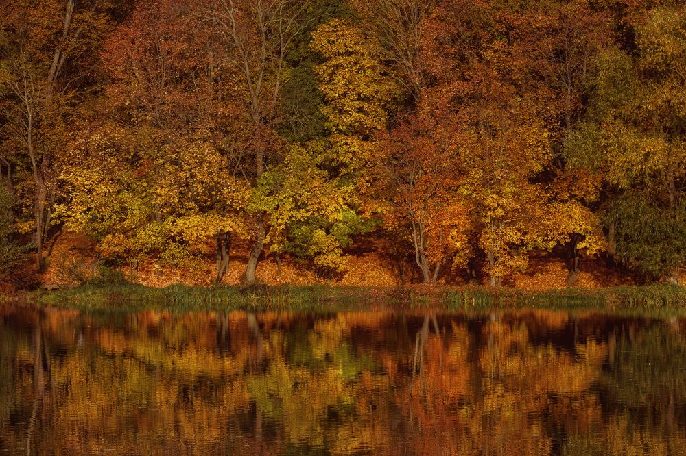 Photograph by Сергей Бибиков