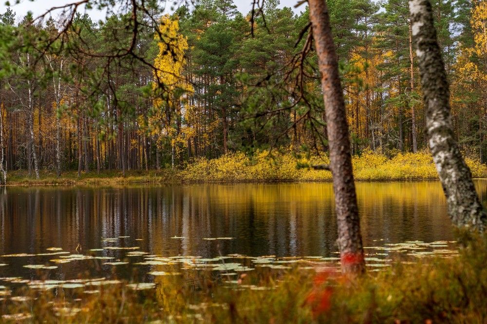 Photograph by Susanna Kari