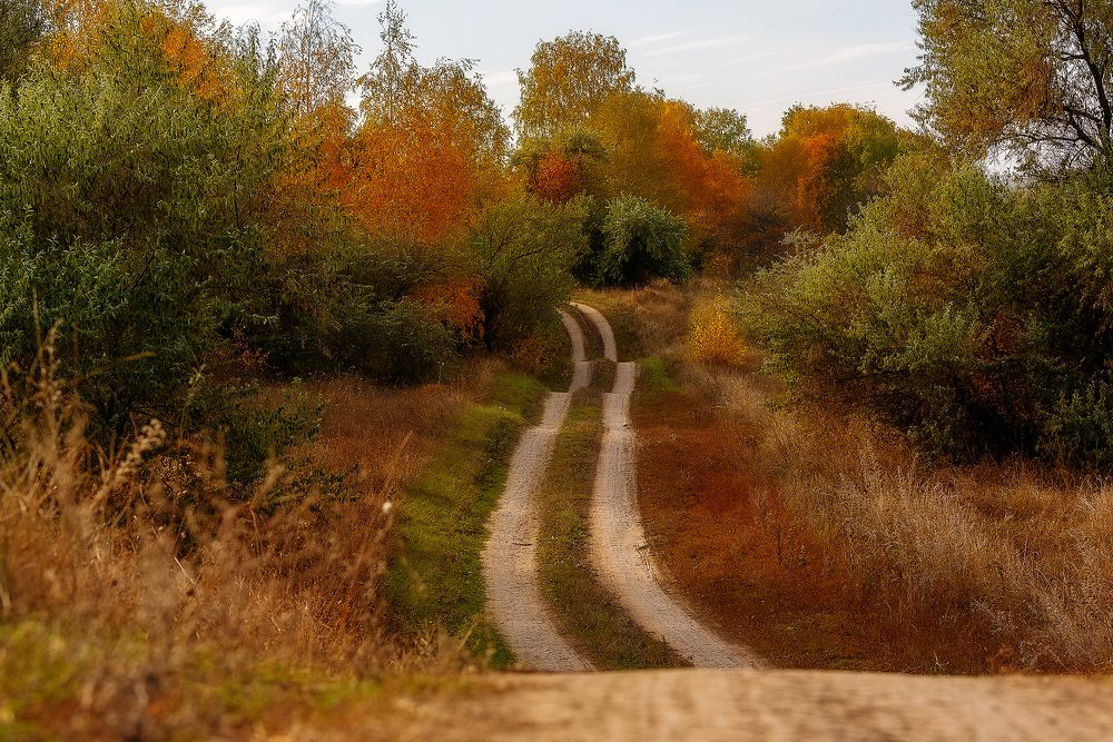 Photograph by Виталий Черняховский