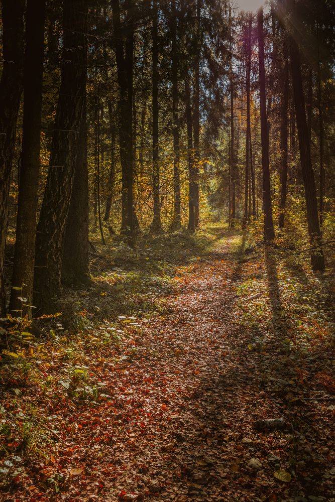 Photograph by Владимир Фирсов