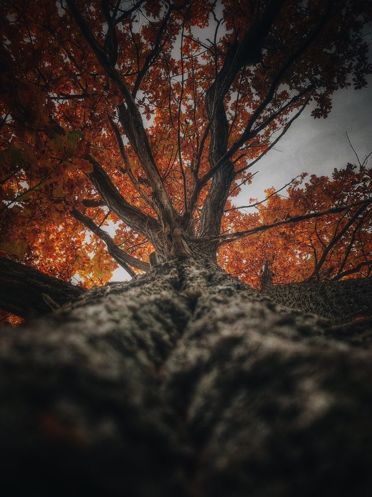 Photograph by Артур Гиниятуллин