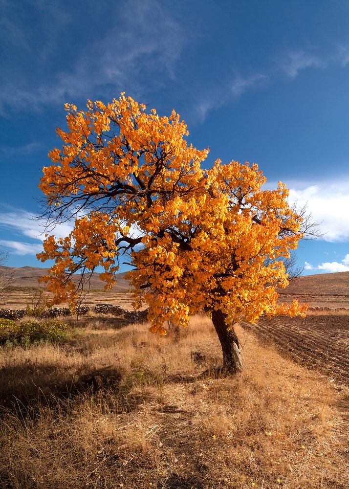 Photograph by sajjad saadat