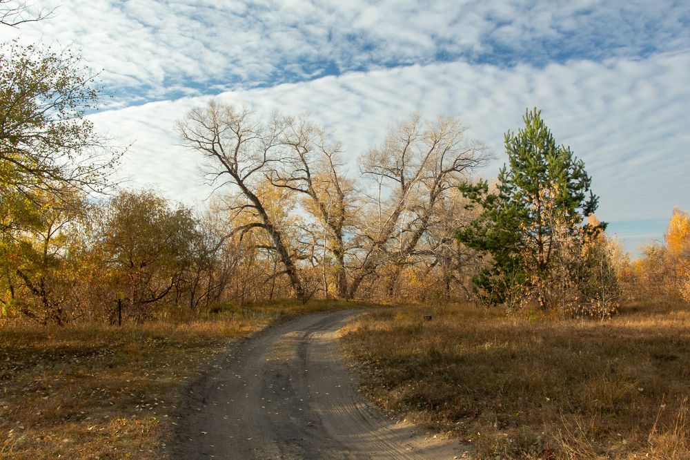 Photograph by Андрей