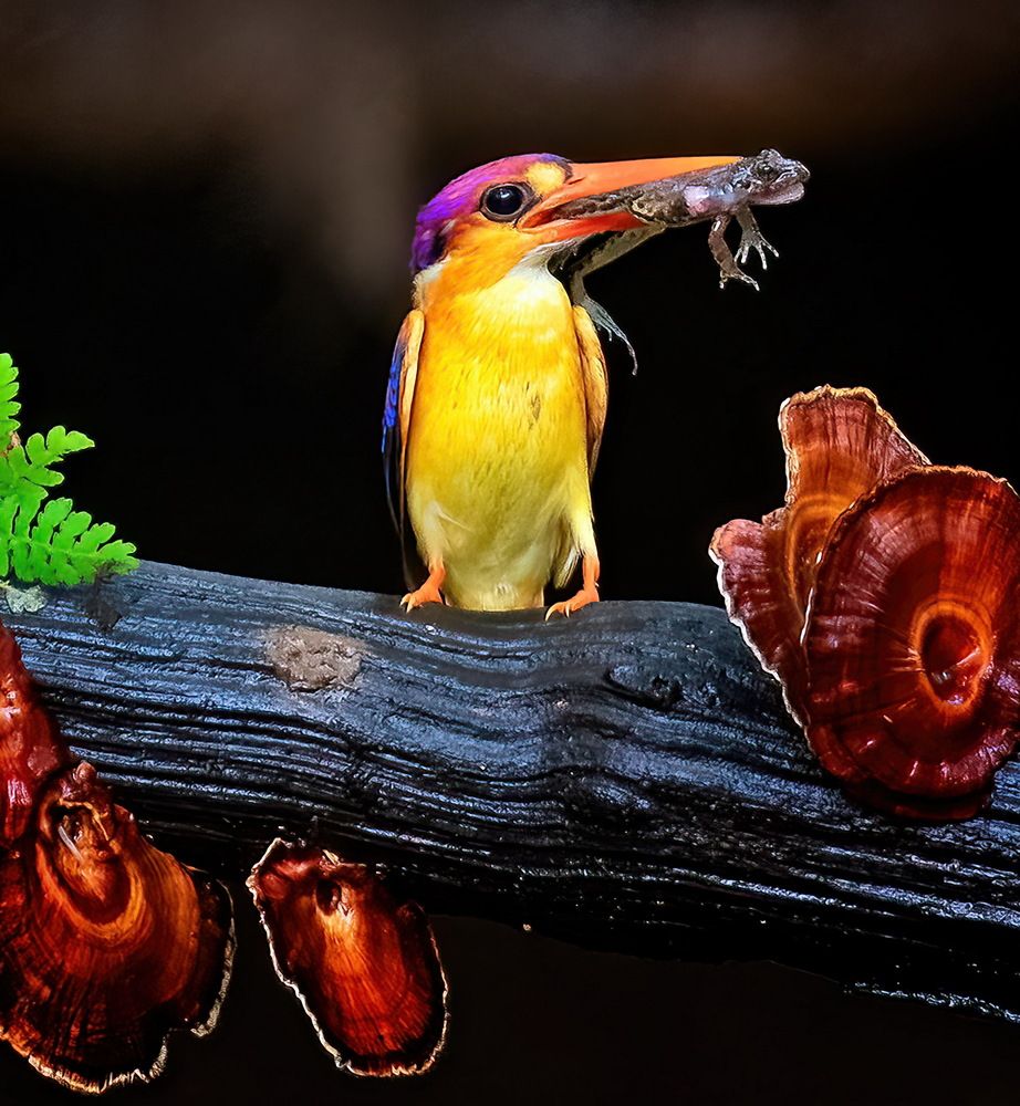 Photograph by Aniket Karane