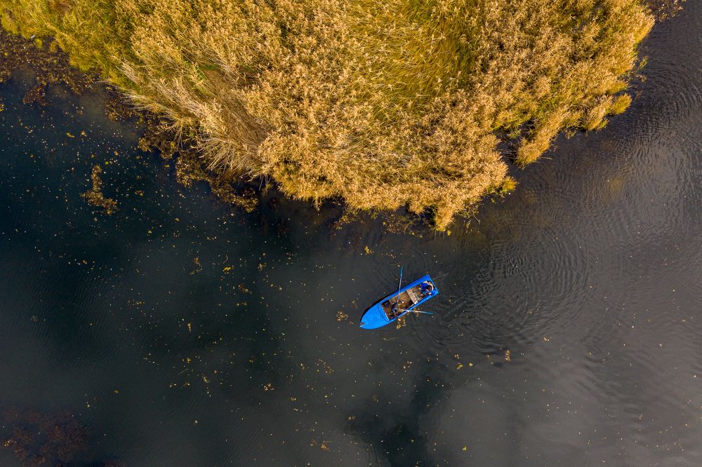 Фотография автора Дмитрий Храмцов