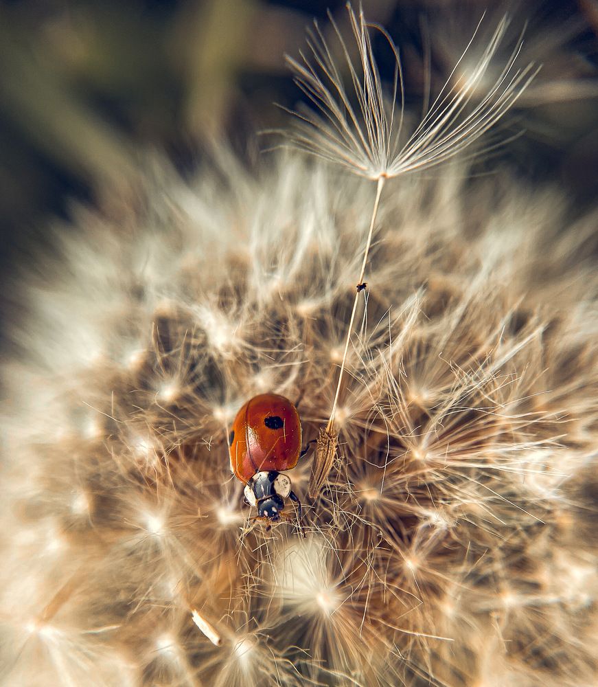 Photograph by Natalya Bulynnikova