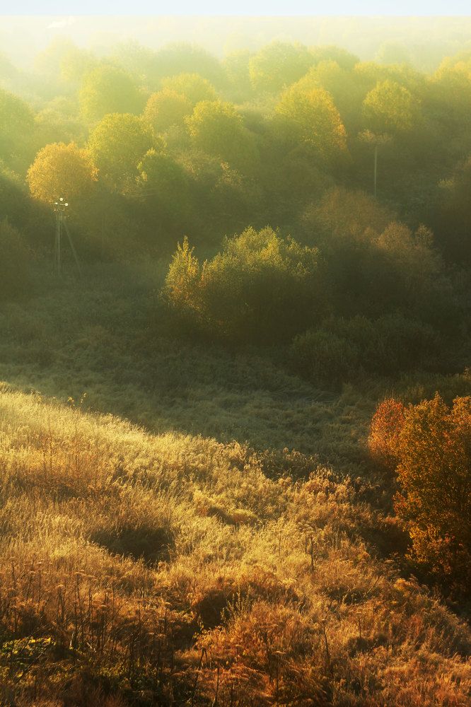 Photograph by Наталья Митченкова