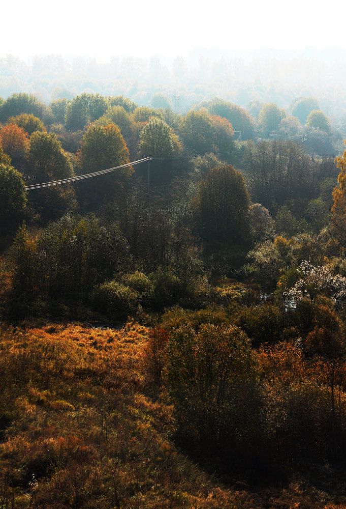 Photograph by Наталья Митченкова