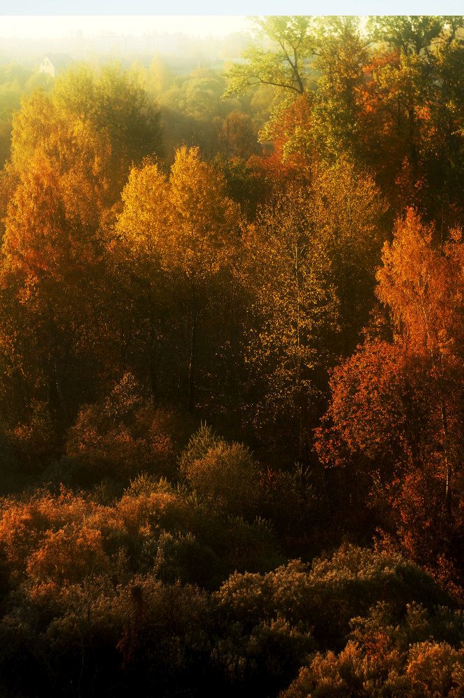 Photograph by Наталья Митченкова